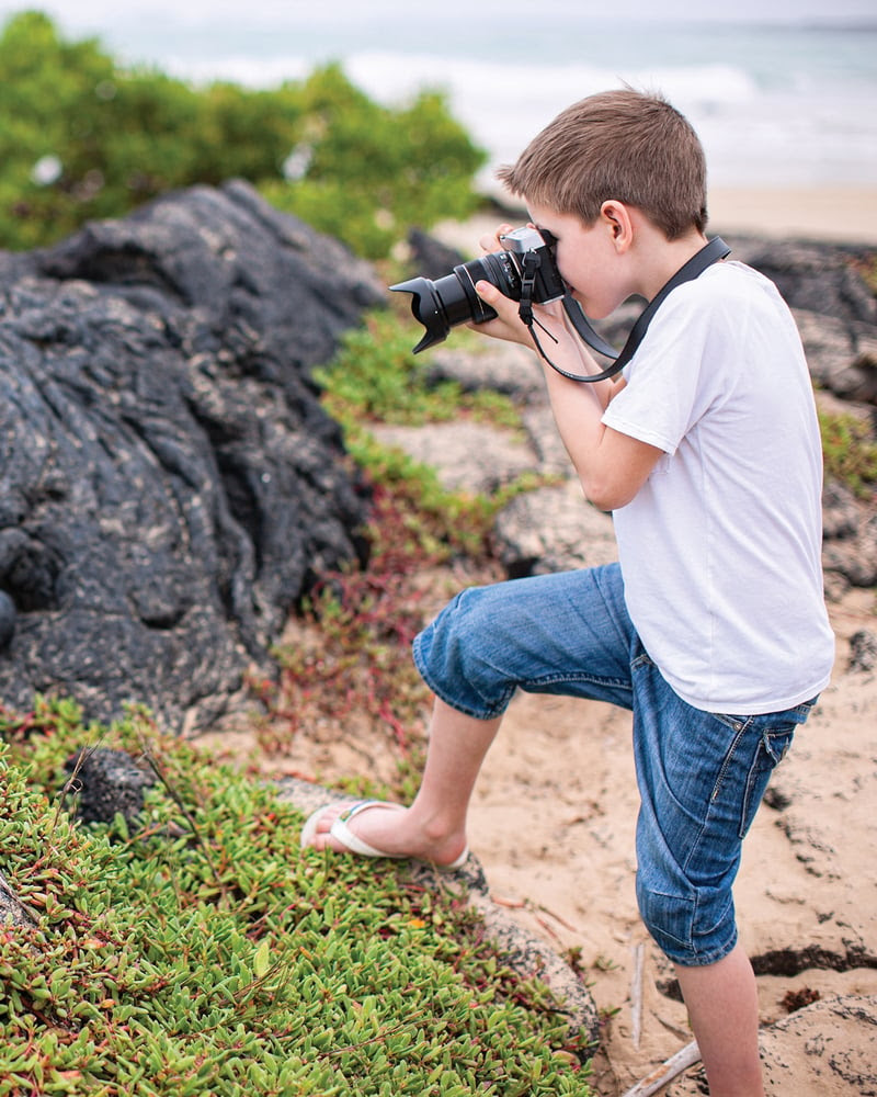 Galápagos marine iguanas pose for the camera.