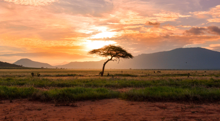 Africa Honeymoons