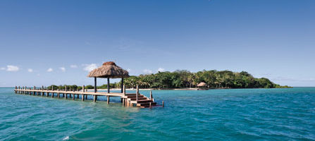 Dolphin Island