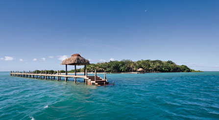 Dolphin Island