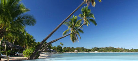 Musket Cove Island Resort