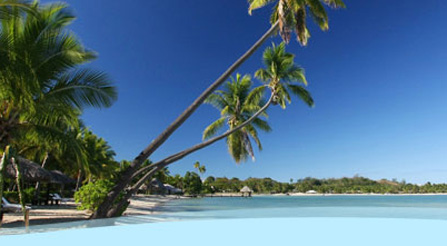 Musket Cove Island Resort