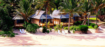 Palm Grove