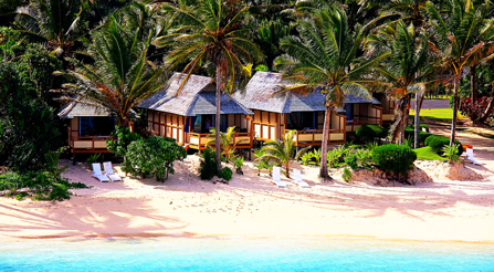 Palm Grove
