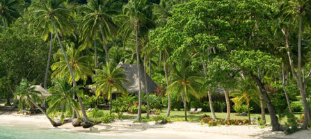 Qamea Resort and Spa